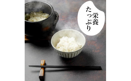 R8年産 新米 こしひかり 5kg 8月中旬から発送 厳選 新米 食味鑑定士 産地直送 3kg 5kg 10kg 米 お米 白米 精米 ごはん コシヒカリ ご飯 高知 県 産 須崎 市 米 NPO01
