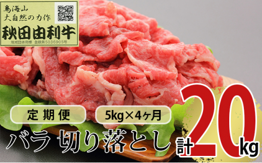 
《定期便》4ヶ月連続 秋田由利牛 バラ切り落とし 5kg（1kg×5パック）
