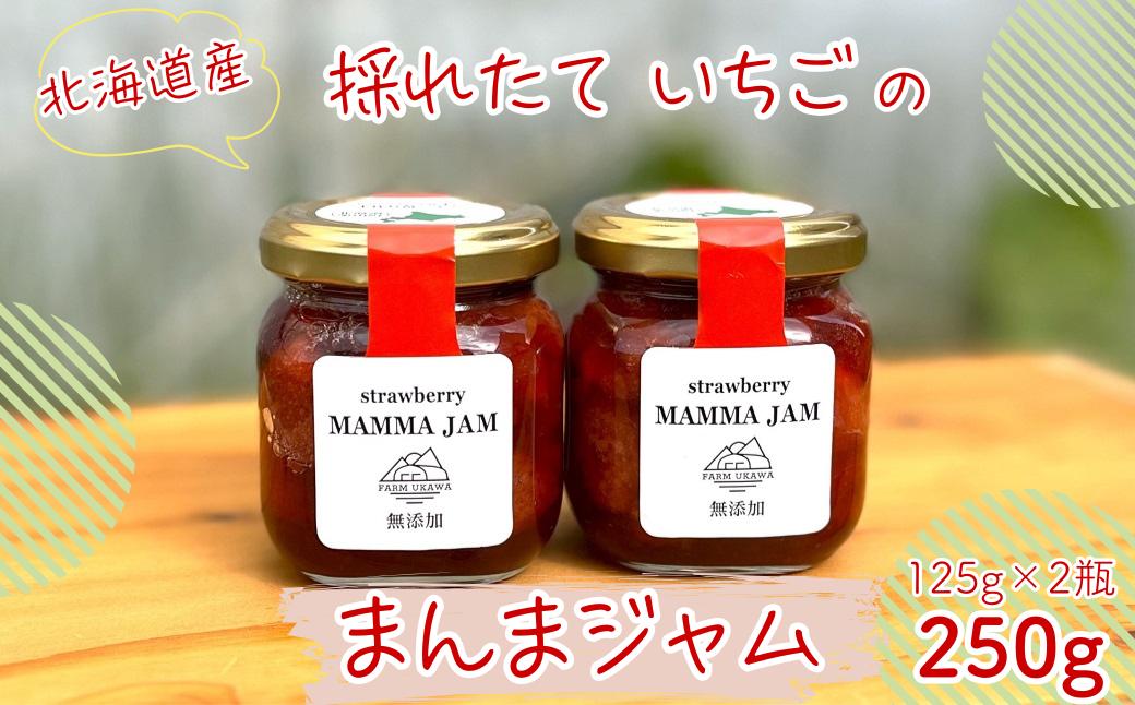 ファームうかわの「まんまジャム」125g×2瓶