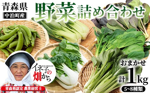 イネ子の季節の野菜詰め合わせ 約1kgセット 【イネ子の畑から】 旬の野菜 旬野菜 旬 新鮮 食品 グルメ 詰め合わせ 冷蔵 ファーマーズマーケット 野菜 美味しい 甘い サラダ おすすめ 中泊町 青森 F6N-356