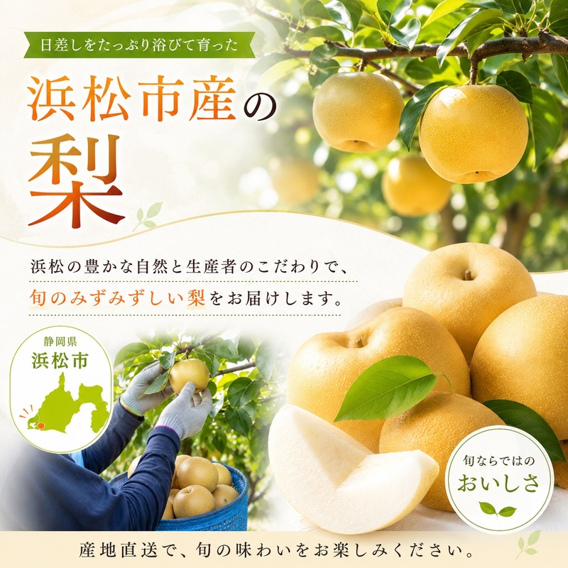 浜松市産 梨 約2.5kg 5～8玉入り なし フルーツ 果物 静岡 浜松市【配送不可：離島】