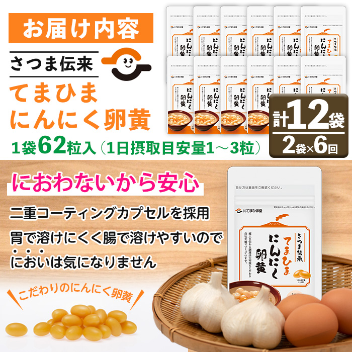 No.1278-B ＜定期便・全6回(隔月)＞てまひま にんにく卵黄(1袋 62粒入・2袋×6回) 鹿児島 日置市 ニンニク 健康食品 カプセル 安全安心 定期便 頒布会 サプリメント【てまひま堂】