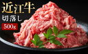 【ふるさと納税】 【月間限定10セット】【近江牛 切落し 500g】 肉 牛肉 ブランド牛 三大和牛 牛肉 黒毛和牛 冷凍 贈り物 ギフト プレゼント 滋賀県 竜王