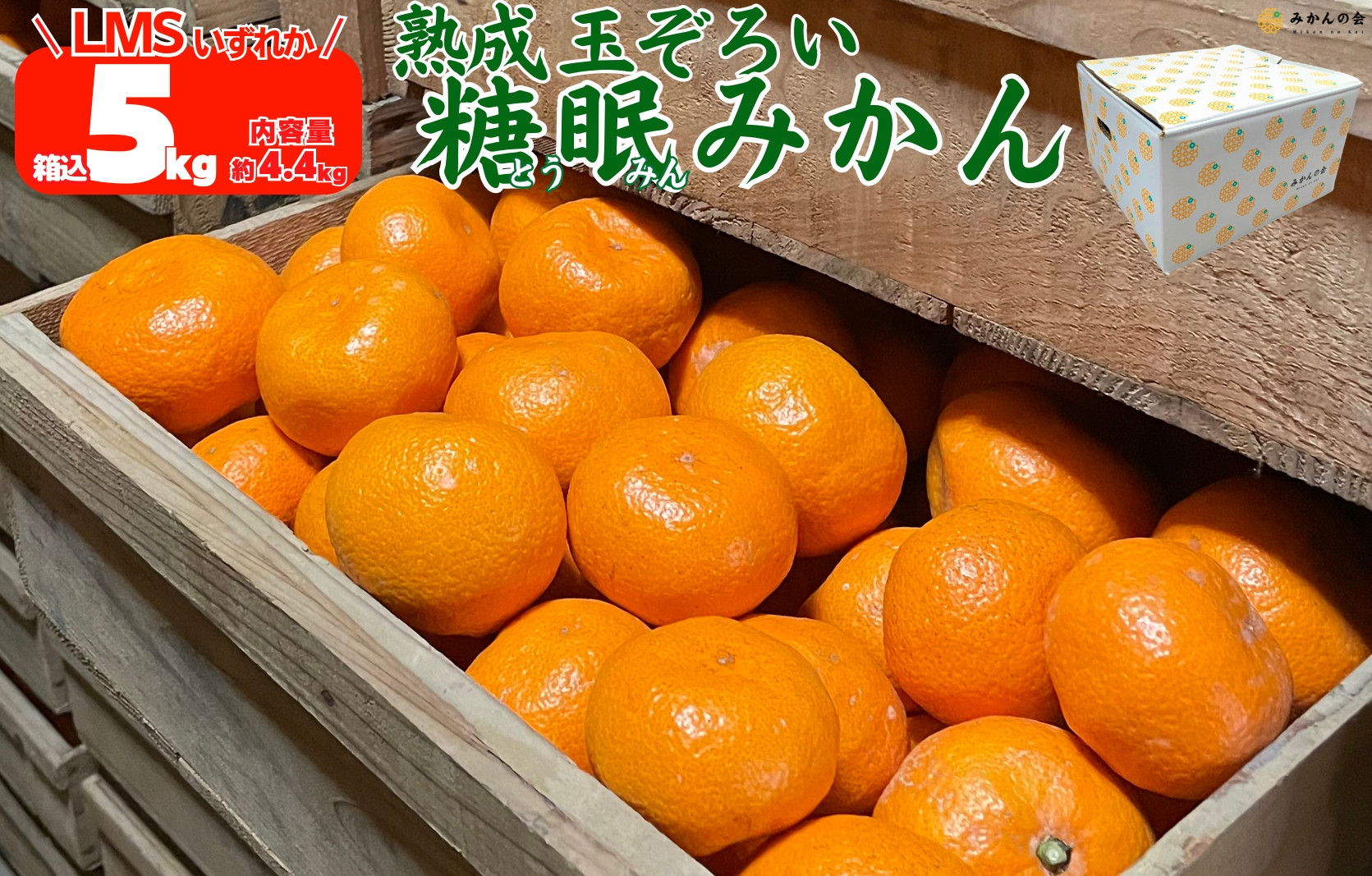 ［先行予約］熟成 みかん 箱込5kg ( 内容量 4.4kg ) SMLサイズのいずれか 秀品 優品 混合 和歌山県産 産地直送 贈答用 ［みかんの会］
