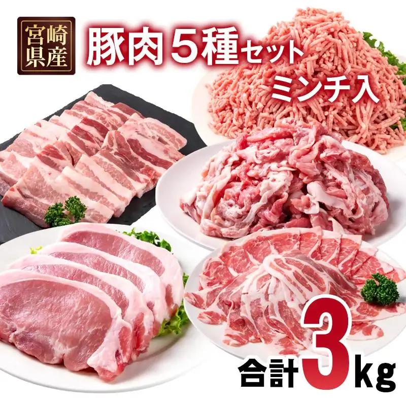 宮崎県産豚肉 5種 合計3kgセット スライス とんかつ 焼肉 切り落とし ミンチ 小分け 11パック＜70-22a＞