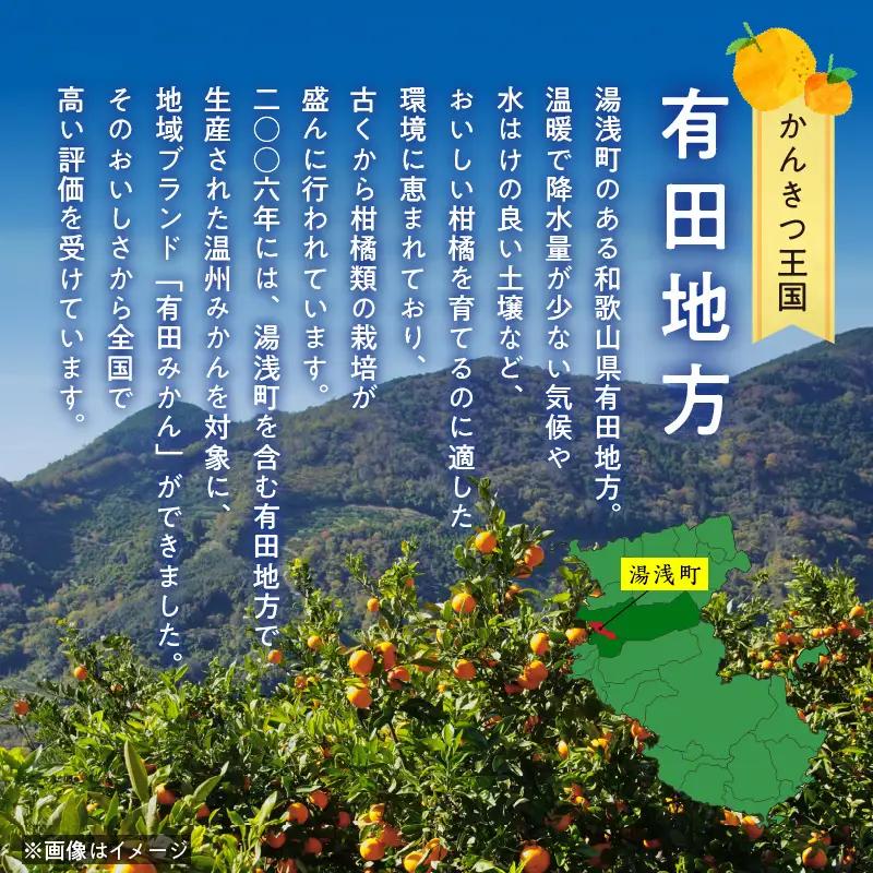 【直営限定】《先行予約・2027年3月発送》希少柑橘 ご家庭用 ブラッドオレンジ　サイズ混合/ご家庭用/4kg(傷み補償200g)_AB7371_Y