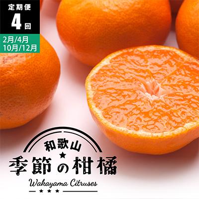 ふるさと納税 美浜町 【発送月固定定期便】季節の柑橘定期便B【フルーツ定期便】【和歌山県有田】全4回