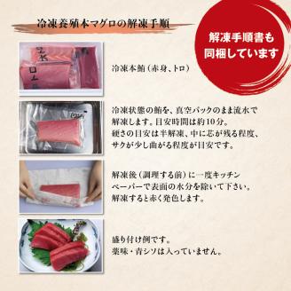 本マグロ（養殖）トロ＆赤身セット 240g 【2月発送】高級 クロマグロ  中トロ 中とろ まぐろ マグロ 鮪 刺身 赤身 柵 じゃばらまぐろ 本マグロ 本鮪 【nks113B-2】