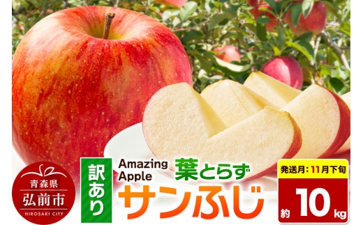 【26年11月下旬発送】りんご 葉とらずサンふじ【訳あり】家庭用 約10kg 先行受付 [先行予約 りんご サンふじ 葉とらず ふじ 訳あり 家庭用 10kg アップル おいしい 果実 果物 取ら 赤色 美味 葉っぱ 林檎 青森県 弘前市]