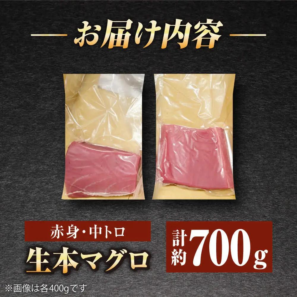 五島列島産養殖生本かみまぐろ 赤身 中トロ 刺身 計約700g[RBP052] 本マグロ 本まぐろ 本マグロ 本まぐろ 本マグロ 本まぐろ 本マグロ 本まぐろ 本マグロ 本まぐろ九州 長崎