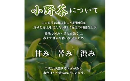 【山口のお茶】小野茶 小(300ml) 24本入 お茶 ケース 箱