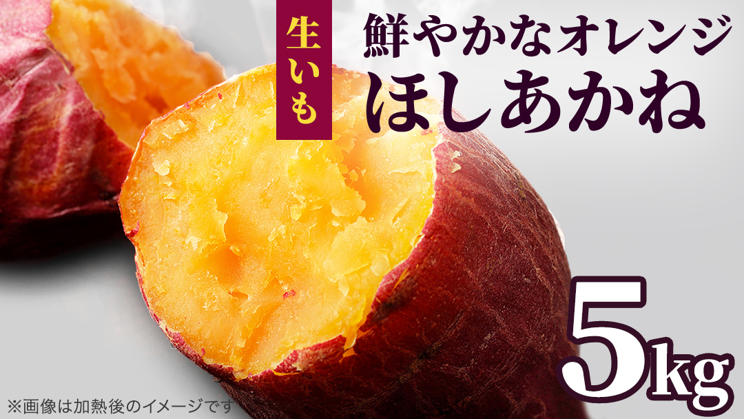 さつまいも 【 ほしあかね 】 5kg（ 箱込 ）サツマイモ さつま芋 芋 いも 野菜 焼き芋 スイーツ おやつ 国産