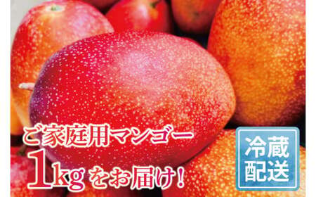 【2026年6月下旬より順次発送】マンゴーの里！豊見城市産♪あま?い♪アップルマンゴー 約1kg(2～3玉)(家庭用) (BV010-1)