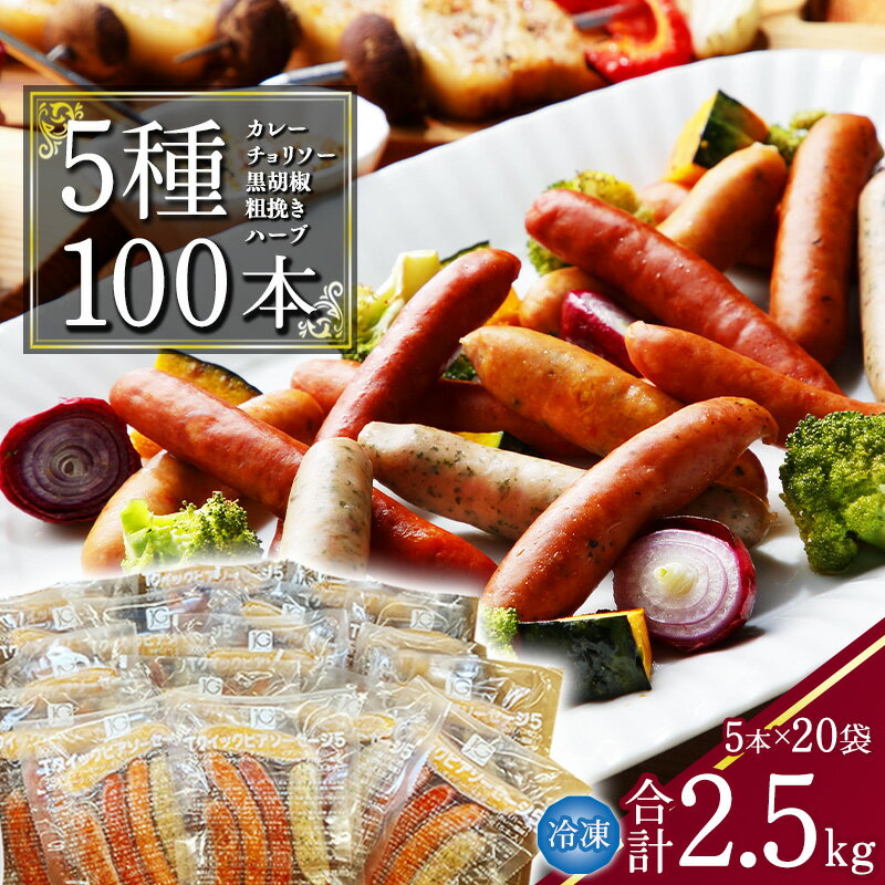 【ふるさと納税】5種の ウインナー 合計2.5kg（125g×小分け20パック：計100本） ／ 小分け 個包装 便利 冷凍 保存 備蓄 あらびき ソーセージ 食べ比べ 大容量 業務用 湯煎 牛 豚 肉 アウトドア バーベキュー 焼肉 おかず おつまみ 弁当 国内製造 東北 山形 日東ベスト