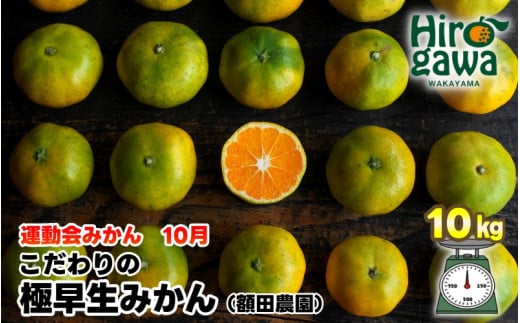 極早生 みかん 家庭用 10kg / 極早生みかん 温州みかん 甘い 家庭用 和歌山 柑橘 ※10月上旬～11月上旬順次発送 ※北海道・沖縄・離島への配送不可 【nuk003-r-10C】