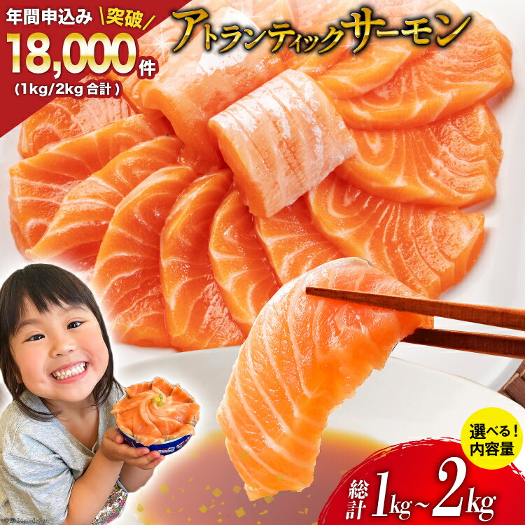 ★新登場★ノルウェー産 アトランティックサーモン 総重量800g（正味重量680g） / カネダイ / 宮城県 気仙沼市 [20561967] 魚 魚介類 サーモン 刺身 小分け 鮭 海鮮 生食用 真空パック さけ サケ 人気 食品