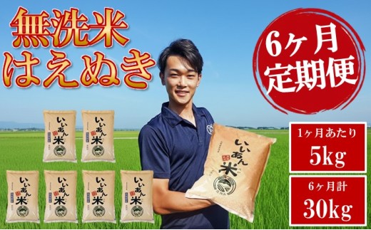 ≪6ヶ月定期便≫ 無洗米 はえぬき 5kg×6ヶ月連続 計30kg 農家直送 いいあん米 山形県庄内産 毎月下旬頃お届け 米 お米 精米 白米 庄内米 ブランド米 東北 酒田市 JGAP認証農場 AG アグレスト　SG0144