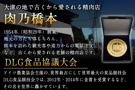 馬刺・赤身&霜降りセット 計400g 《60日以内に出荷予定(土日祝除く)》 赤身馬刺し 霜降り馬刺し 肉乃橋本 冷凍 ブロック