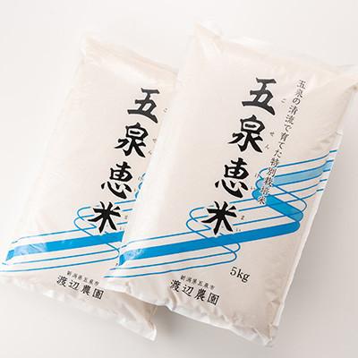ふるさと納税 五泉市 【先行受付】令和7年産 新米 新潟県産 特別栽培米 コシヒカリ 精米 10kg(5kg×2袋) |  | 03