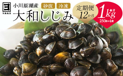 
            【 12ヵ月定期便 】砂抜き済みで手間いらず！冷凍・小川原湖産大和しじみ1kg（250g×4袋）　【02408-0091】
          