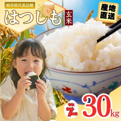 ふるさと納税 関市 【訳あり】期間限定で寄附額改定!令和7年産 ハツシモ【玄米】30kg 数量限定 L6
