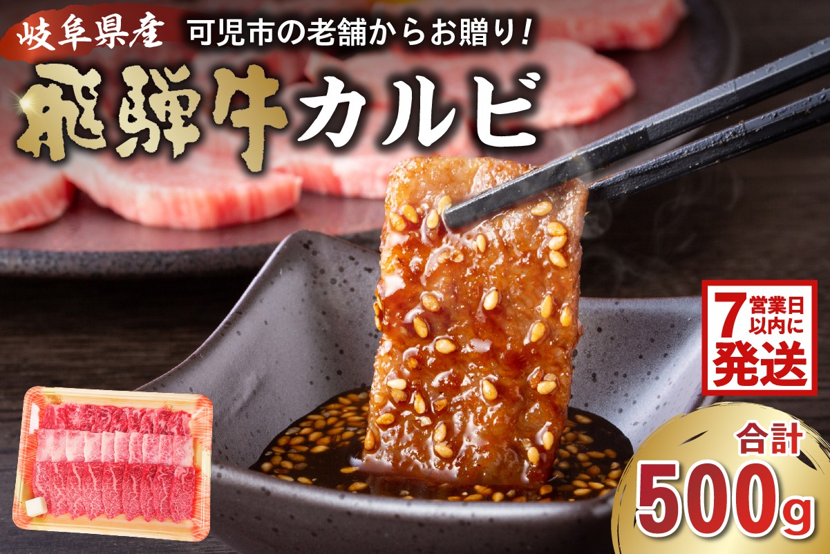 
                  飛騨牛カルビ500g 【 岐阜県 可児市 焼肉 BBQ バーベキュー 肉 牛肉 和牛 ブランド牛 黒毛和牛 国産 赤身 脂身 霜降り やわらか 旨味 甘み コク アウトドア キャンプ カルビ丼 冷凍 】
                