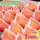 【ふるさと納税】 いちご ゆめのか 500g ～ 1kg 果物 フルーツ ストロベリー スイーツ ケーキ デザート 阿波市 徳島県 先行予約