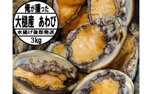 【2026年11月・12月期間限定発送】【先行予約】アワビ3kg（20個前後）初栄丸 ※アワビヘラ＆軍手付き【34】