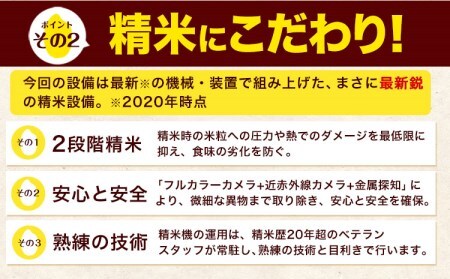 令和5年産 ひのひかり 無洗米 12kg 《7-14営業日以内に出荷予定(土日祝除く)》 6kg×2袋 熊本県産 米 精米 大津町