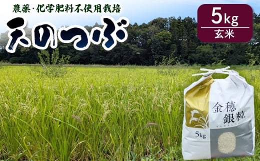 【先行予約】 天のつぶ 玄米5kg 有機的栽培 令和7年産 | 無農薬 農薬不使用 化学肥料不使用 お米 米 福島産 福島県産 南相馬 みさき未来