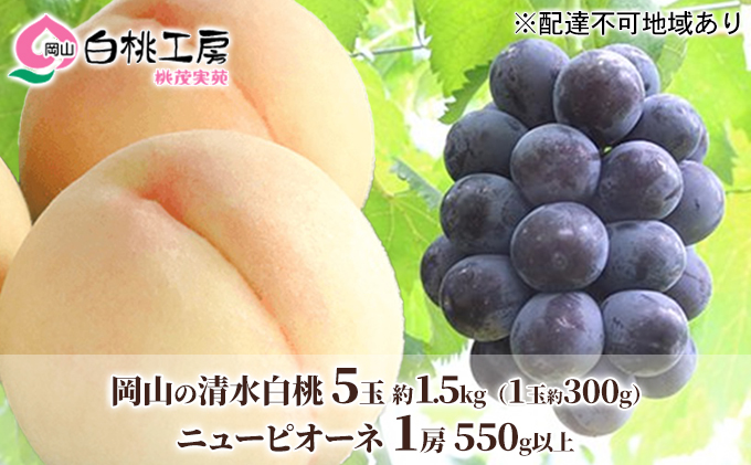 桃 ぶどう 2025年 先行予約 清水 白桃 5玉 約1.5kg 1玉約300g ニュー ピオーネ 1房 550g以上もも 葡萄 詰合せ 岡山 国産 フルーツ 果物 ギフト 桃茂実苑 