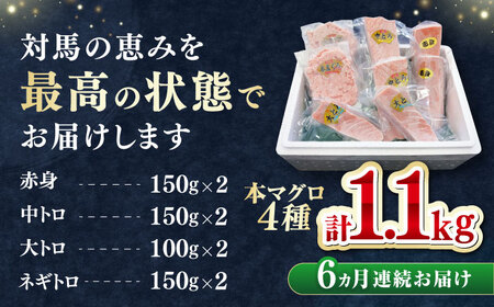 【全6回定期便】 対馬産 本マグロ 4種 計1.1kg（赤身/中トロ/大トロ/ネギトロ）《対馬市》【対海】 冷凍配送 食べ比べ 新鮮 手巻き寿司 海鮮丼[WAH038]