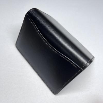 ふるさと納税 河内町 WILDSWANS サドルプルアップ ADLER(ブラック) |  | 01