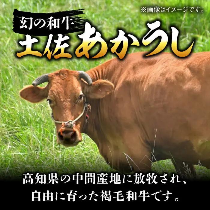 熟成肉 土佐あかうし 特選赤身 サイコロステーキ 約500g / 牛肉ステーキ 牛肉ステーキ 牛肉ステーキ 牛肉ステーキ 牛肉ステーキ  [ATAY012]