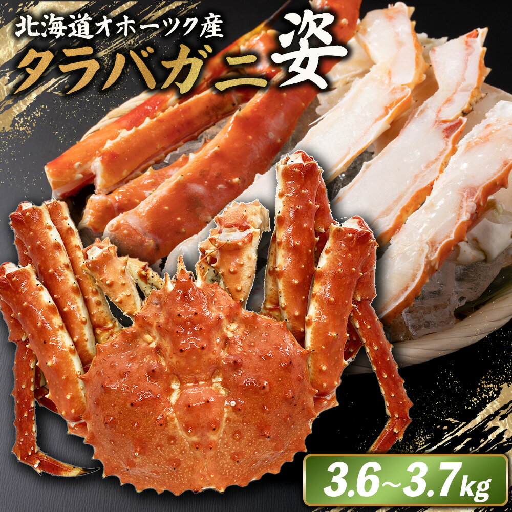 【ふるさと納税】北海道オホーツク産 冷タラバガニ姿　3.6～3.7kg | 北海道産 オホーツク産 オホーツク オホーツク産 オホーツク海産 タラバガニ タラバ カニ かに 蟹 冷凍 ギフト 贈り物 お取り寄せ 北海道 雄武町 雄武【12418】