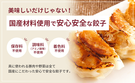 浜松餃子 80個 20個×4 知久屋 無添加 冷凍 餃子