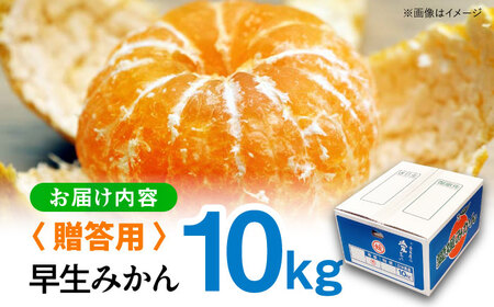 みかん 10kg（早生）【贈答】  みかん 愛媛[AGAR009]