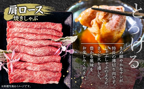 宮崎牛 肩ロース 焼きしゃぶ 300g ウデ 焼肉 400g 合計700g |牛肉 牛 肉 肩ロース 焼きしゃぶ ウデ 焼肉 焼き肉 やき肉 しゃぶしゃぶ