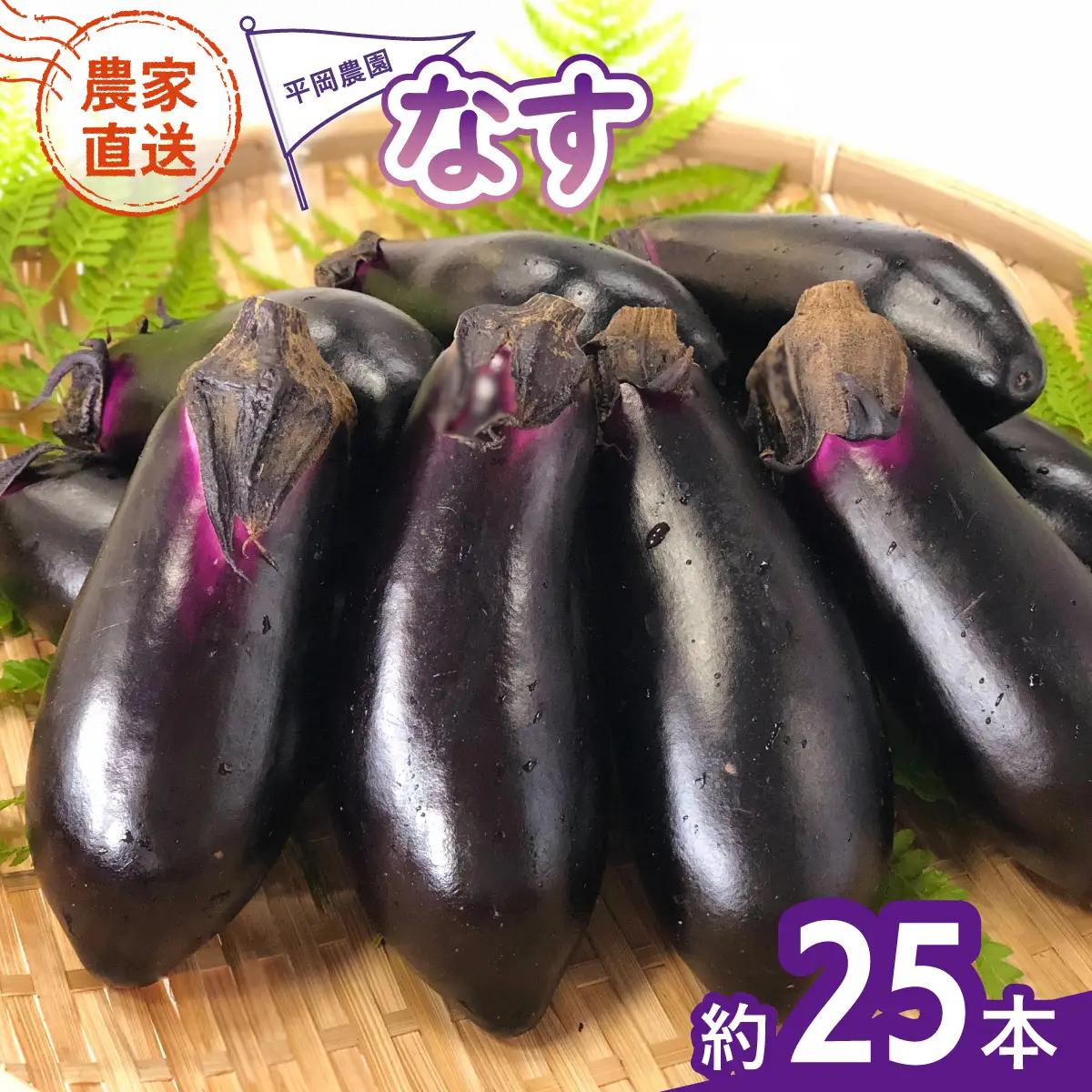 なす 約25本 茄子 ナス 産地直送 天敵栽培 【2026年7月以降順次発送】