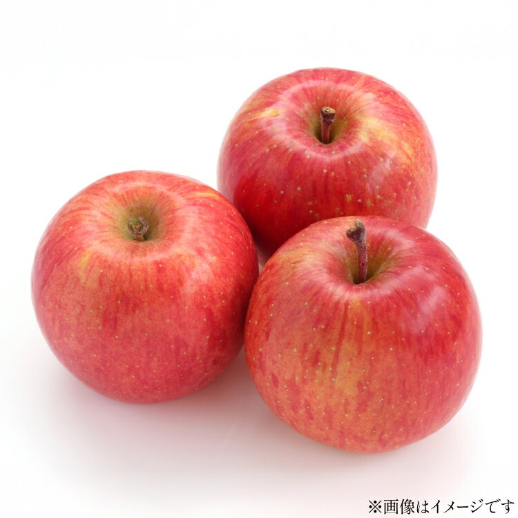 【ふるさと納税】【期間限定発送】 りんご 高畠町産 サンふじ りんご 12〜18玉 計 5kg [tk06ays870005 山形県 高畠町 JA山形おきたま] 果物 くだもの フルーツ 林檎 リンゴ ふじ ふじりんご 産地直送