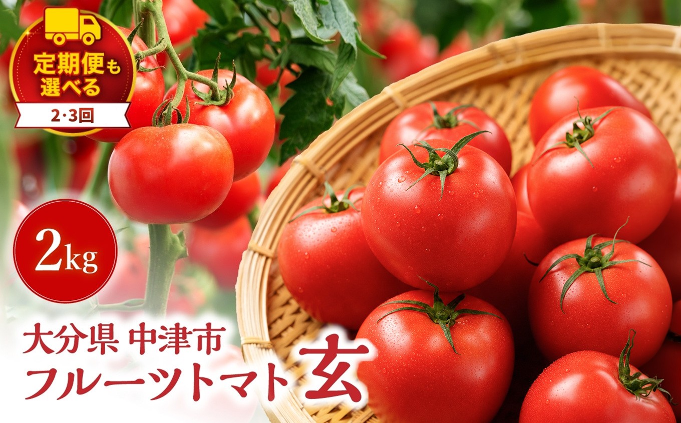 
                  フルーツトマト 「玄」 2kg 選べる 発送回数 1回 / 2回 / 3回 | フルティカ ミディトマト ミニトマト ぷちとまと プチトマト トマト 国産 野菜 やさい 大分県 中津市
                