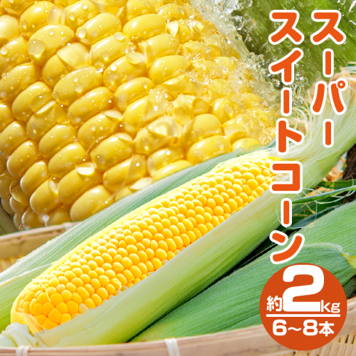 先行予約≪期間限定≫スーパースイートコーン(約2kg)お試し用 とうもろこし 野菜 国産_T003-0035