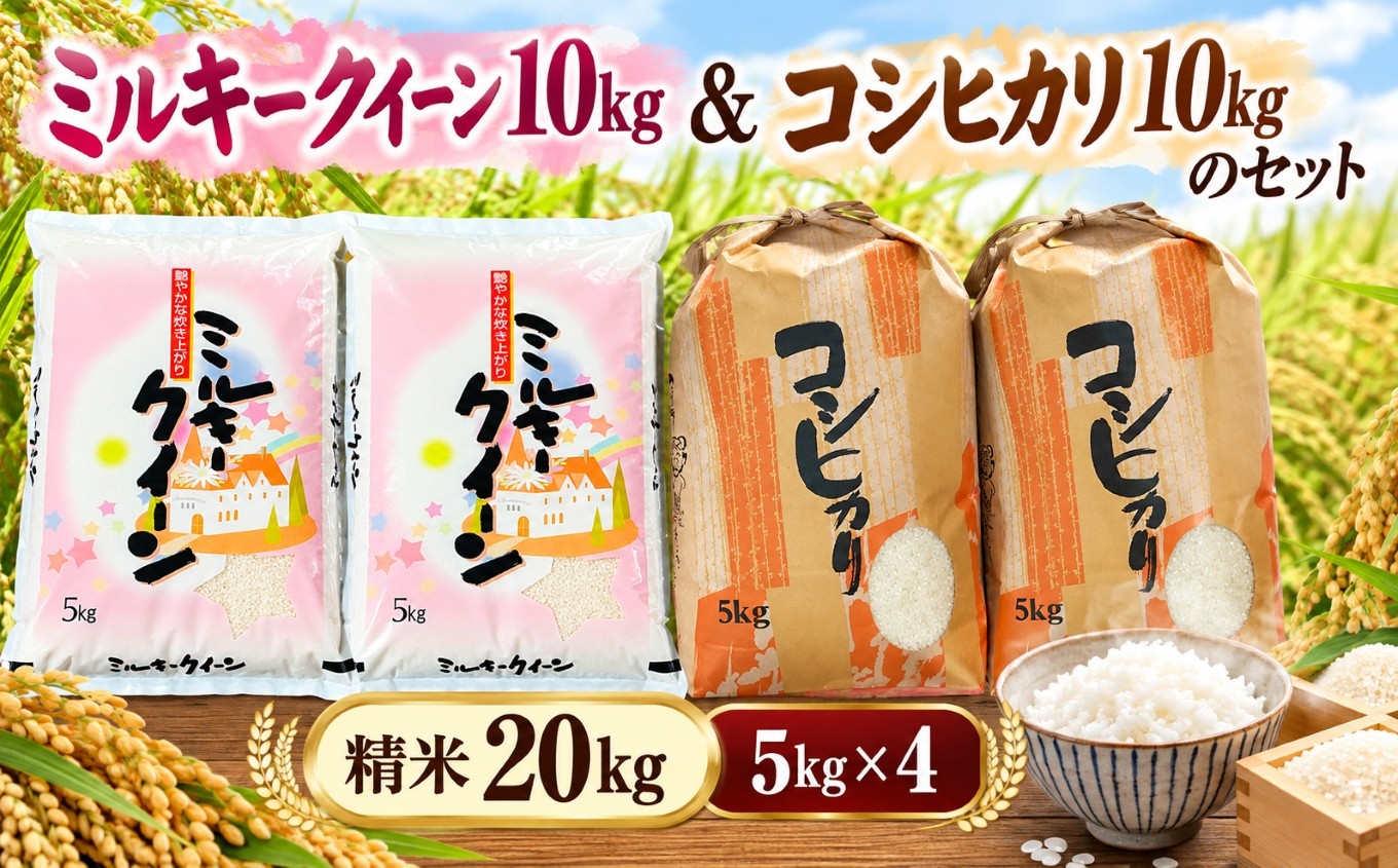 
                  人気のお米セット　ミルキ ークイーン10kgとコシヒカリ10kgのセット〈精米 20kg〉│愛知のお米 おこめ ごはん お弁当 おにぎり お茶漬け こしひかり 白米
                