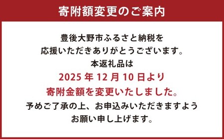 036-1254x2 ジオ蔵出し色選米 特別栽培米 10kg (5kg×2袋) 令和7年産 大分県 豊後大野市産 大分県選択銘柄登録品種 「恋の予感」 米 精米