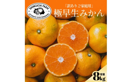 【先行受付】【訳ありだけど美味しさそのまま】極早生みかん 8kg【愛媛県産】【C70-102】【1674435】 YWTK101