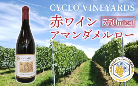 【限定】496ワイナリー　シクロヴィンヤード赤ワイン１本