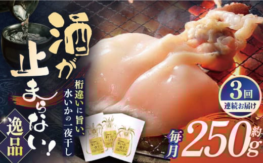 【全3回定期便】【身が厚く柔らかい】漁師の水烏賊一夜干し 約250g（2〜3枚） 平戸市 / 中野漁業協同組合[KAB243]