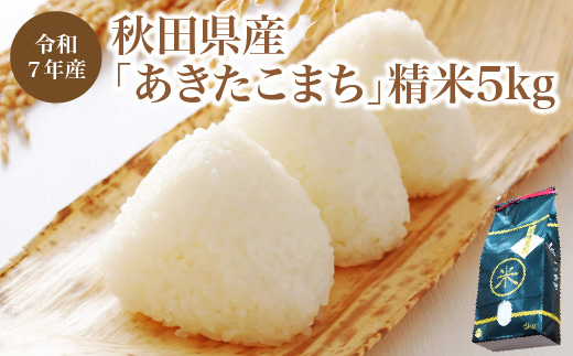 【令和7年産】秋田県産「あきたこまち」精米5kg（5kg×1袋）　【95P9004】