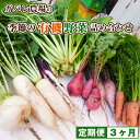 【ふるさと納税】No.527 【有機野菜の定期便3ヶ月】ガバレ農場の季節の有機野菜詰め合わせセット ／ 有機JAS認定農場 採れたて 新鮮 詰合せ 送料無料 埼玉県