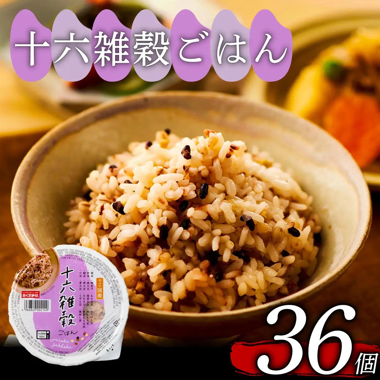 【国産100%】十六雑穀米 パックご飯 160g×36個 レンジで簡単 幸南食糧